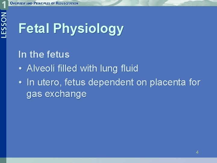 Fetal Physiology In the fetus • Alveoli filled with lung fluid • In utero,