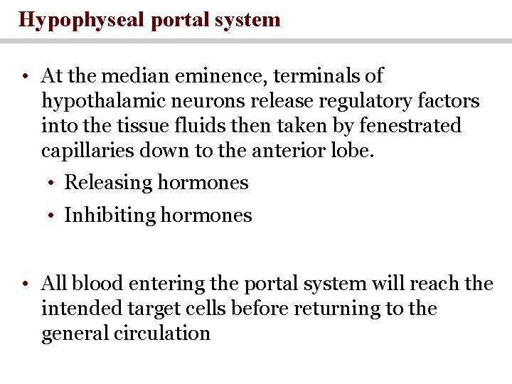 Hypophyseal portal system • At the median eminence, terminals of hypothalamic neurons release regulatory