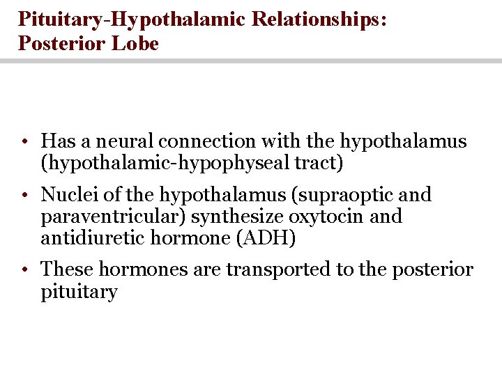 Pituitary-Hypothalamic Relationships: Posterior Lobe • Has a neural connection with the hypothalamus (hypothalamic-hypophyseal tract)