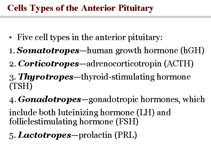 Cells Types of the Anterior Pituitary • Five cell types in the anterior pituitary: