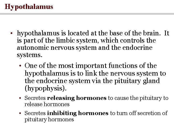 Hypothalamus • hypothalamus is located at the base of the brain. It is part