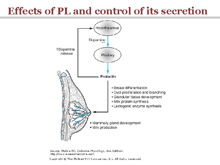 Effects of PL and control of its secretion 