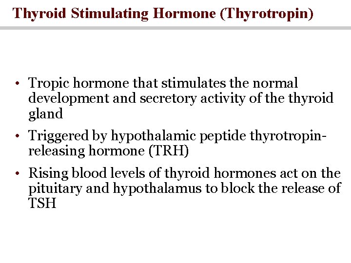 Thyroid Stimulating Hormone (Thyrotropin) • Tropic hormone that stimulates the normal development and secretory