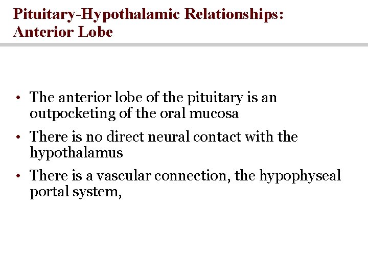 Pituitary-Hypothalamic Relationships: Anterior Lobe • The anterior lobe of the pituitary is an outpocketing