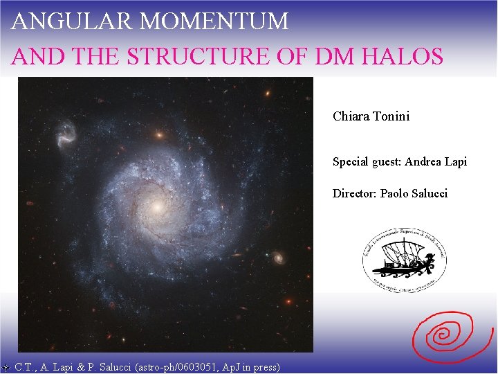 ANGULAR MOMENTUM AND THE STRUCTURE OF DM HALOS Chiara Tonini Special guest: Andrea Lapi