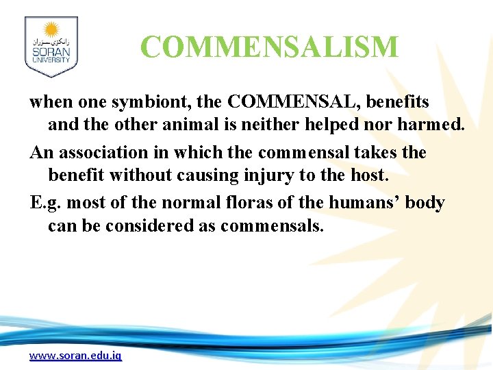 COMMENSALISM when one symbiont, the COMMENSAL, benefits and the other animal is neither helped