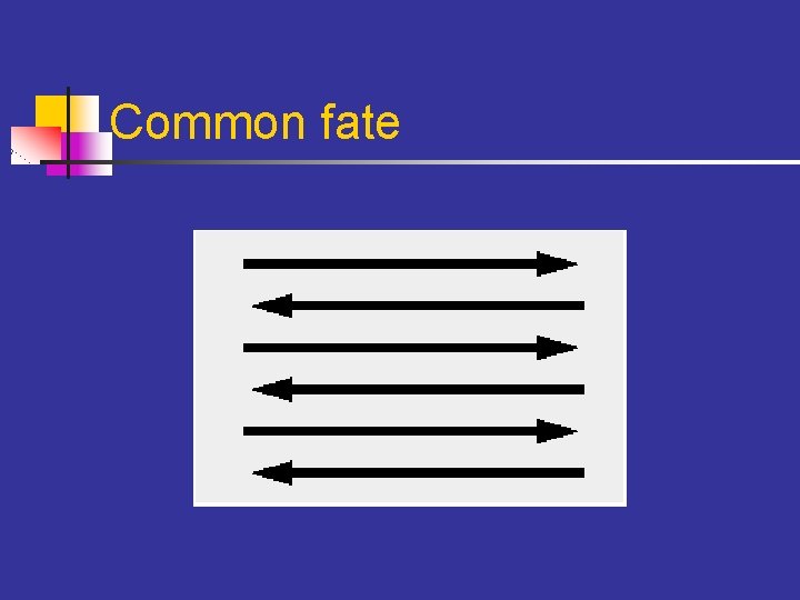 Common fate 