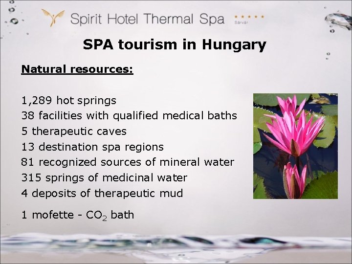 SPA tourism in Hungary Natural resources: 1, 289 hot springs 38 facilities with qualified