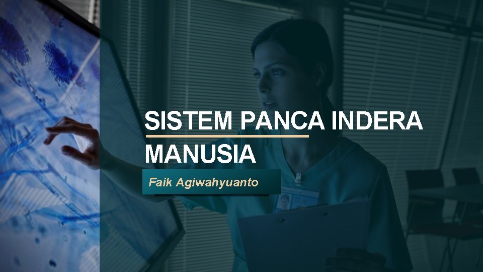 SISTEM PANCA INDERA MANUSIA Faik Agiwahyuanto 