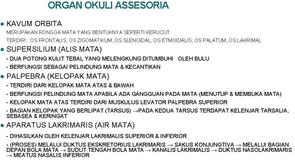 ORGAN OKULI ASSESORIA ● KAVUM ORBITA MERUPAKAN RONGGA MATA YANG BENTUKNYA SEPERTI KERUCUT TERDIRI