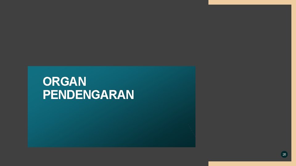 ORGAN PENDENGARAN 25 