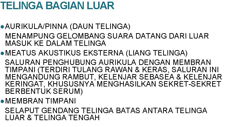 TELINGA BAGIAN LUAR ● AURIKULA/PINNA (DAUN TELINGA) MENAMPUNG GELOMBANG SUARA DATANG DARI LUAR MASUK