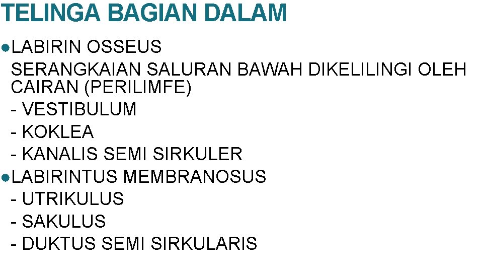 TELINGA BAGIAN DALAM ●LABIRIN OSSEUS SERANGKAIAN SALURAN BAWAH DIKELILINGI OLEH CAIRAN (PERILIMFE) - VESTIBULUM