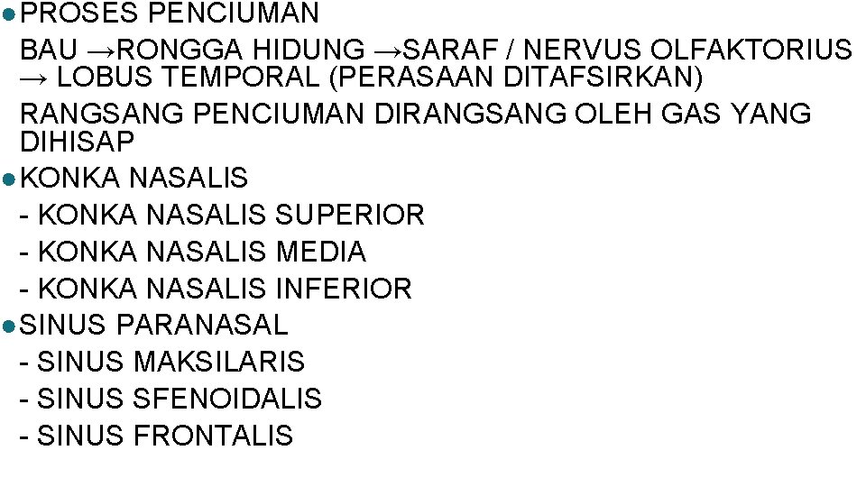 ● PROSES PENCIUMAN BAU →RONGGA HIDUNG →SARAF / NERVUS OLFAKTORIUS → LOBUS TEMPORAL (PERASAAN