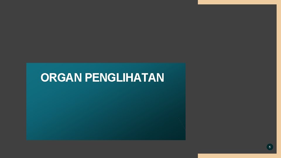 ORGAN PENGLIHATAN 5 