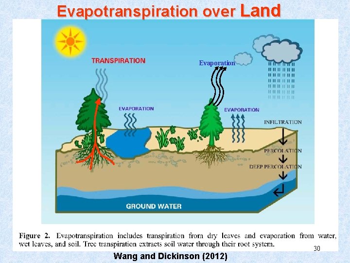 Evapotranspiration over Land Evaporation Wang and Dickinson (2012) 30 