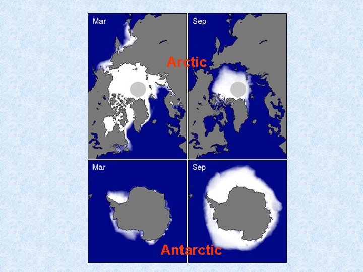 Arctic Antarctic 