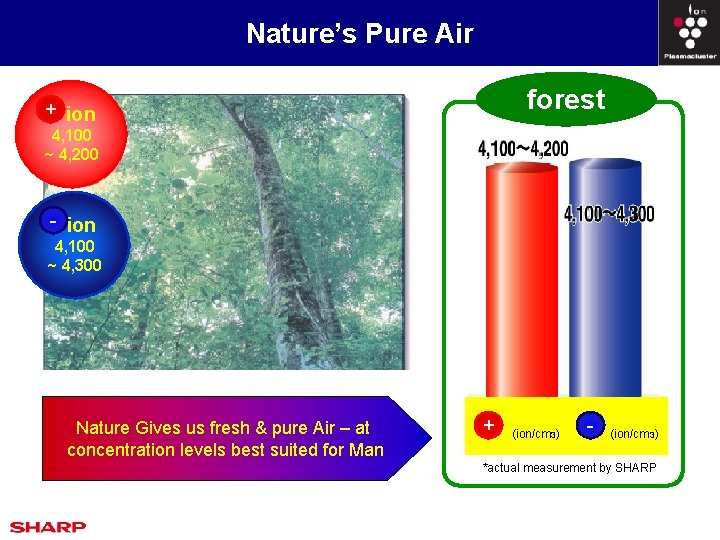 Nature’s Pure Air forest 森林 + ion 4, 100 ~ 4, 200 -　ion 4,