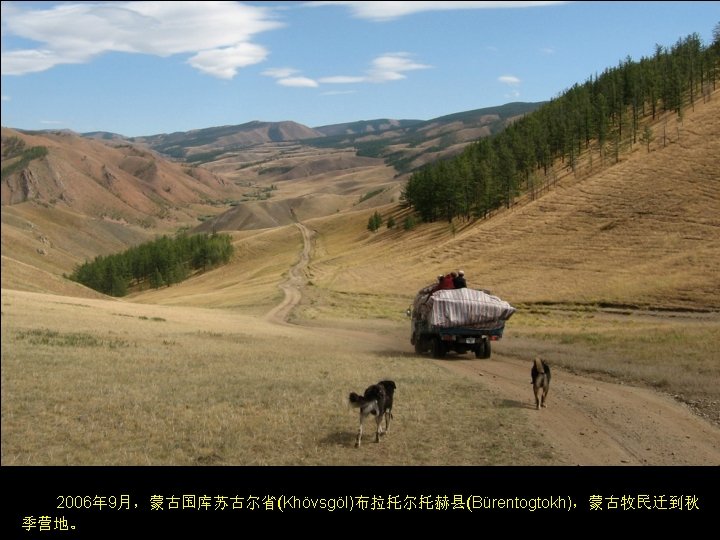 Mongolian nomads move to autumn encampments, in Khövsgöl Province, Bürentogtokh sum, Mongolia in September