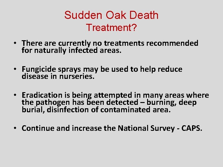 Sudden Oak Death Treatment? • There are currently no treatments recommended for naturally infected