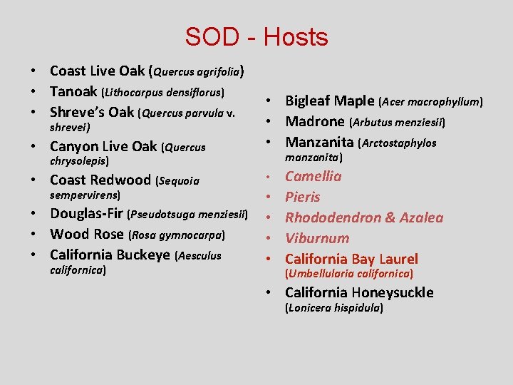 SOD - Hosts • Coast Live Oak (Quercus agrifolia) • Tanoak (Lithocarpus densiflorus) •