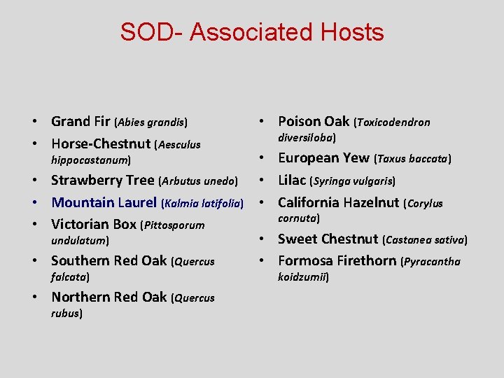 SOD- Associated Hosts • Grand Fir (Abies grandis) • Horse-Chestnut (Aesculus hippocastanum) • Strawberry