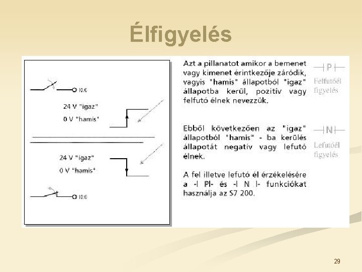 Élfigyelés 29 