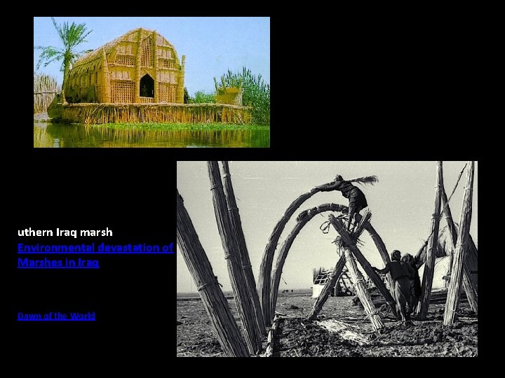 so uthern Iraq marsh Environmental devastation of Marshes in Iraq Dawn of the World so uthern Iraq marsh Environmental devastation of Marshes in Iraq Dawn of the World