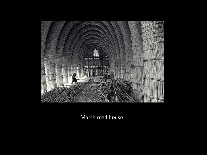 Marsh reed house Marsh reed house
