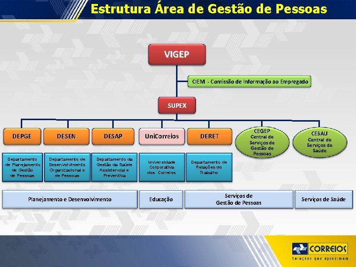 Estrutura Área de Gestão de Pessoas VIGEP CIEM - Comissão de Informação ao Empregado