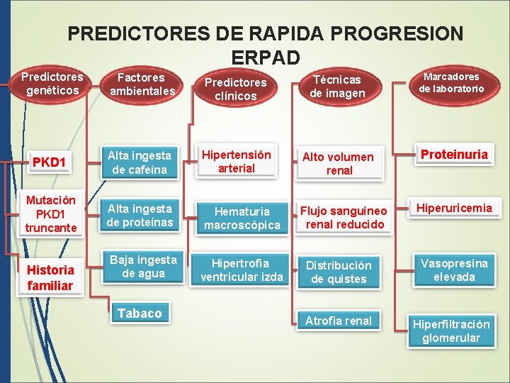 PREDICTORES DE RAPIDA PROGRESION ERPAD Predictores genéticos Factores ambientales Predictores clínicos Técnicas de imagen