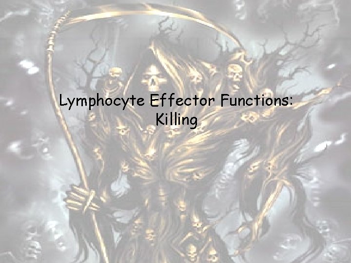 Lymphocyte Effector Functions: Killing 