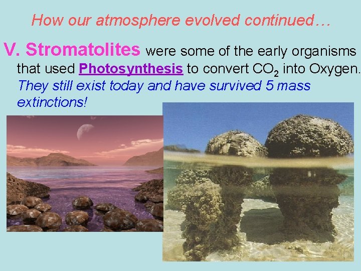 How our atmosphere evolved continued… V. Stromatolites were some of the early organisms that