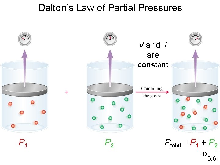 Dalton’s Law of Partial Pressures V and T are constant P 1 P 2