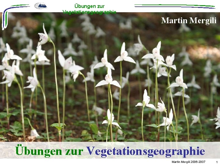 Übungen zur Vegetationsgeographie Martin Mergili 2006 -2007 1 