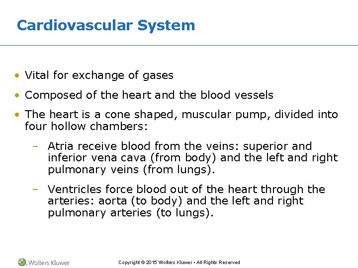 Cardiovascular System • Vital for exchange of gases • Composed of the heart and