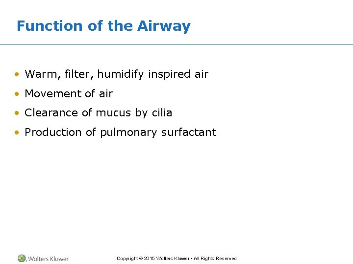 Function of the Airway • Warm, filter, humidify inspired air • Movement of air