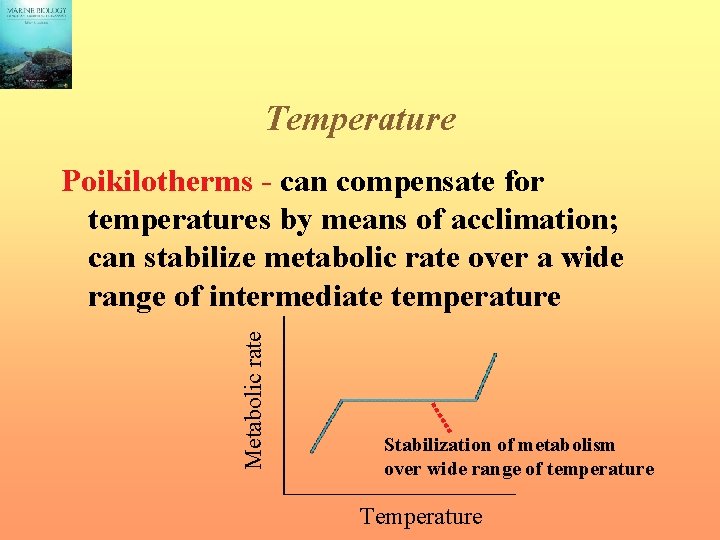 Temperature Metabolic rate Poikilotherms - can compensate for temperatures by means of acclimation; can