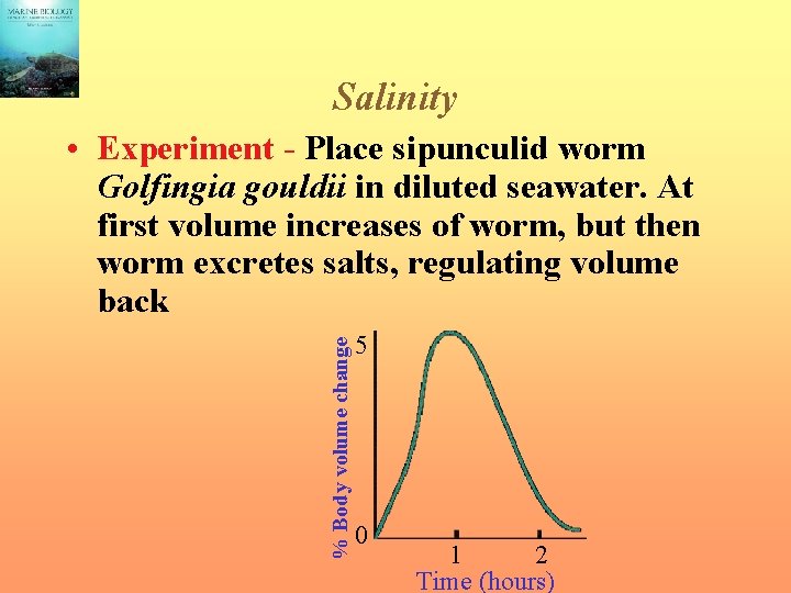 Salinity % Body volume change • Experiment - Place sipunculid worm Golfingia gouldii in