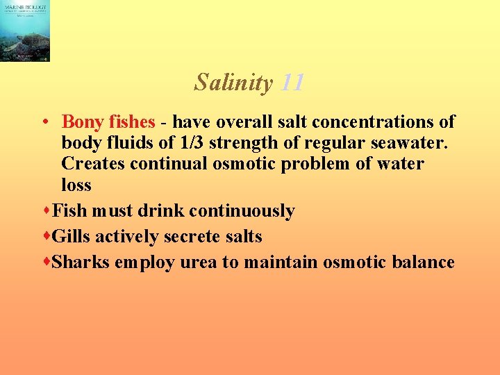 Salinity 11 • Bony fishes - have overall salt concentrations of body fluids of