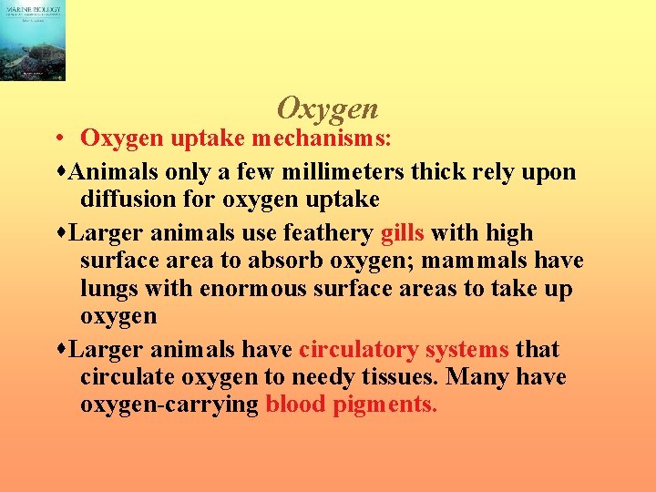 Oxygen • Oxygen uptake mechanisms: Animals only a few millimeters thick rely upon diffusion