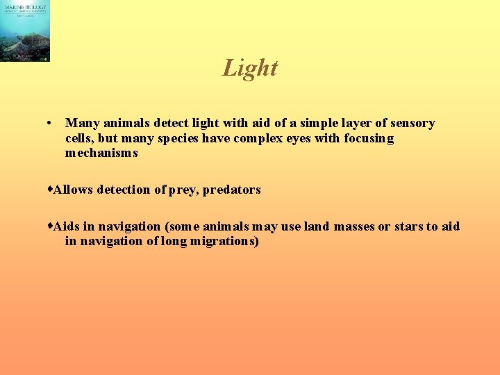 Light • Many animals detect light with aid of a simple layer of sensory