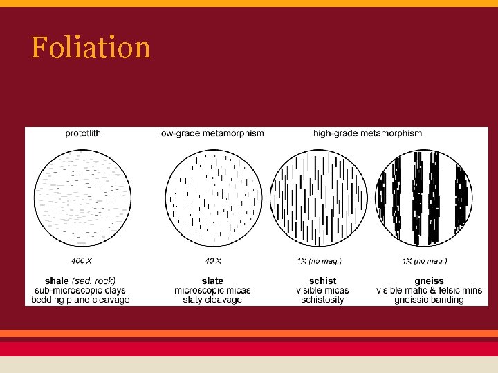 Foliation 