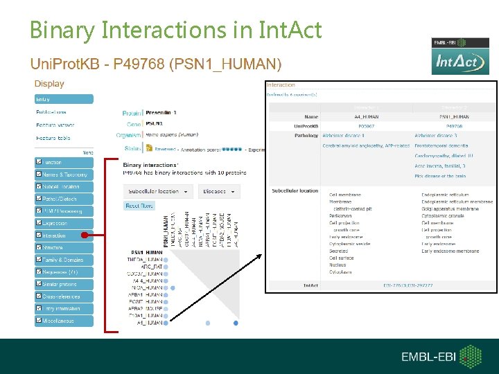 Binary Interactions in Int. Act 