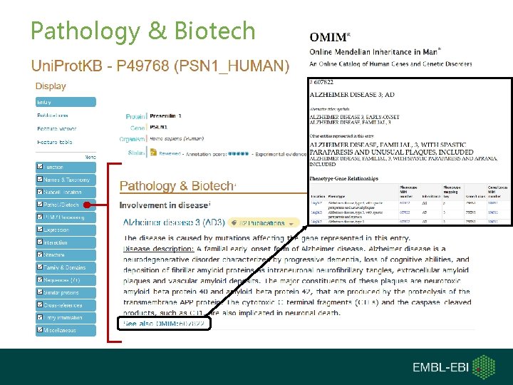 Pathology & Biotech 