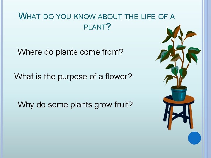 WHAT DO YOU KNOW ABOUT THE LIFE OF A PLANT? Where do plants come