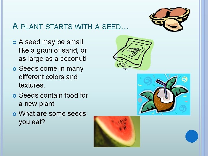 A PLANT STARTS WITH A SEED… A seed may be small like a grain