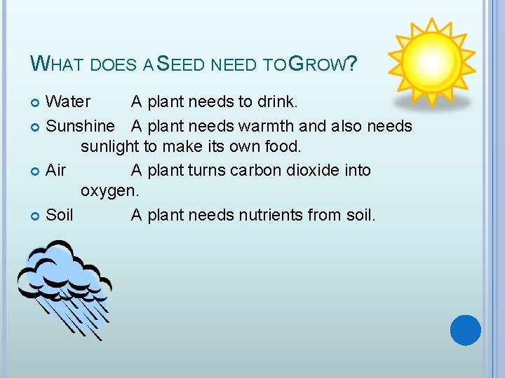 WHAT DOES A SEED NEED TO GROW? Water A plant needs to drink. Sunshine