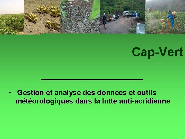 Cap-Vert • Gestion et analyse des données et outils météorologiques dans la lutte anti-acridienne