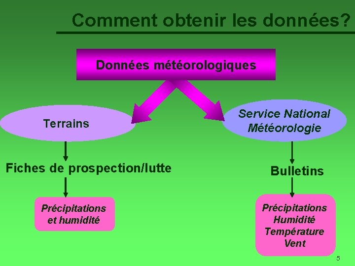 Comment obtenir les données? Données météorologiques Terrains Fiches de prospection/lutte Précipitations et humidité Service